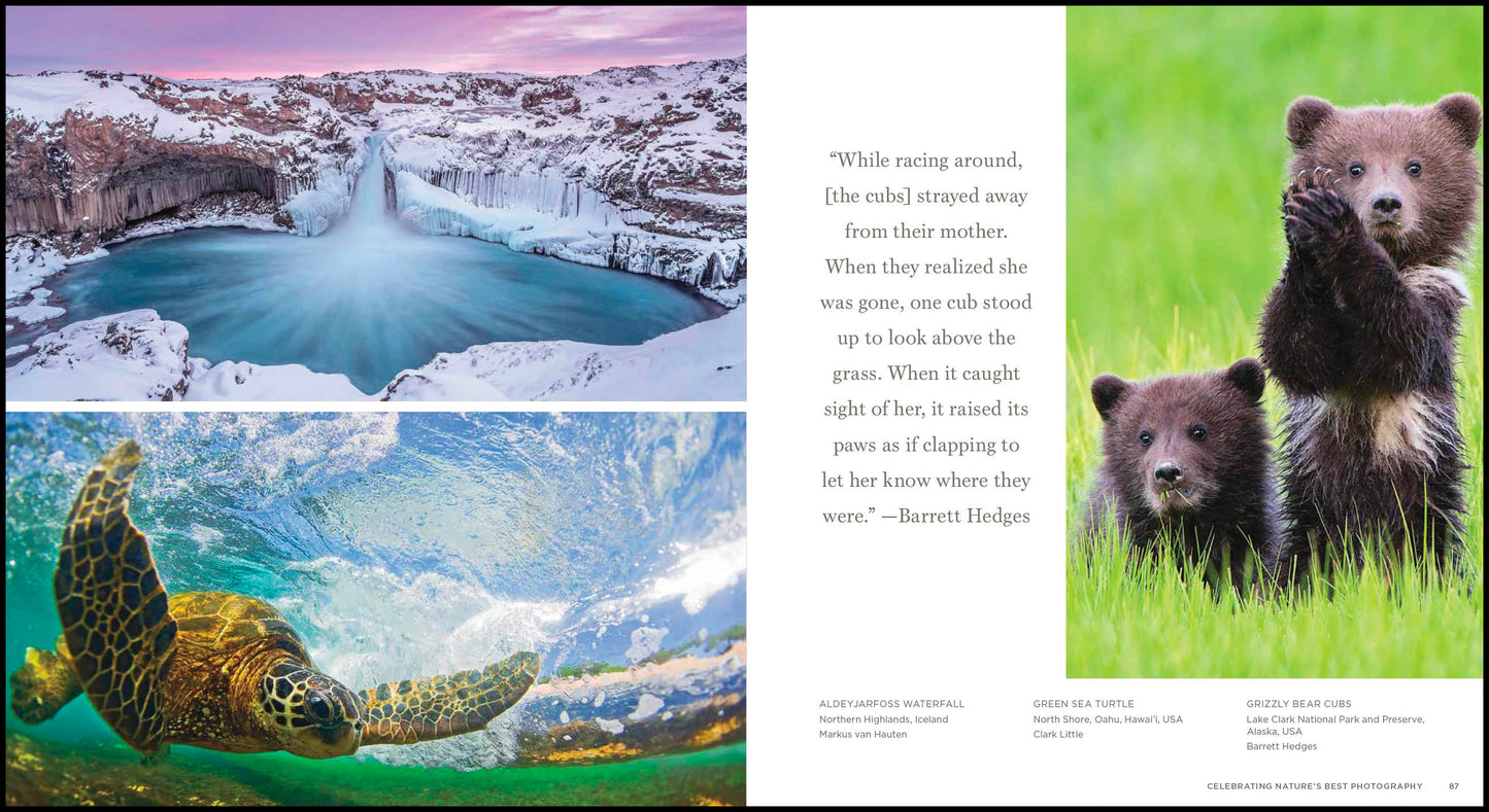 Journey into the Wild: Celebrating Nature's Best Photography