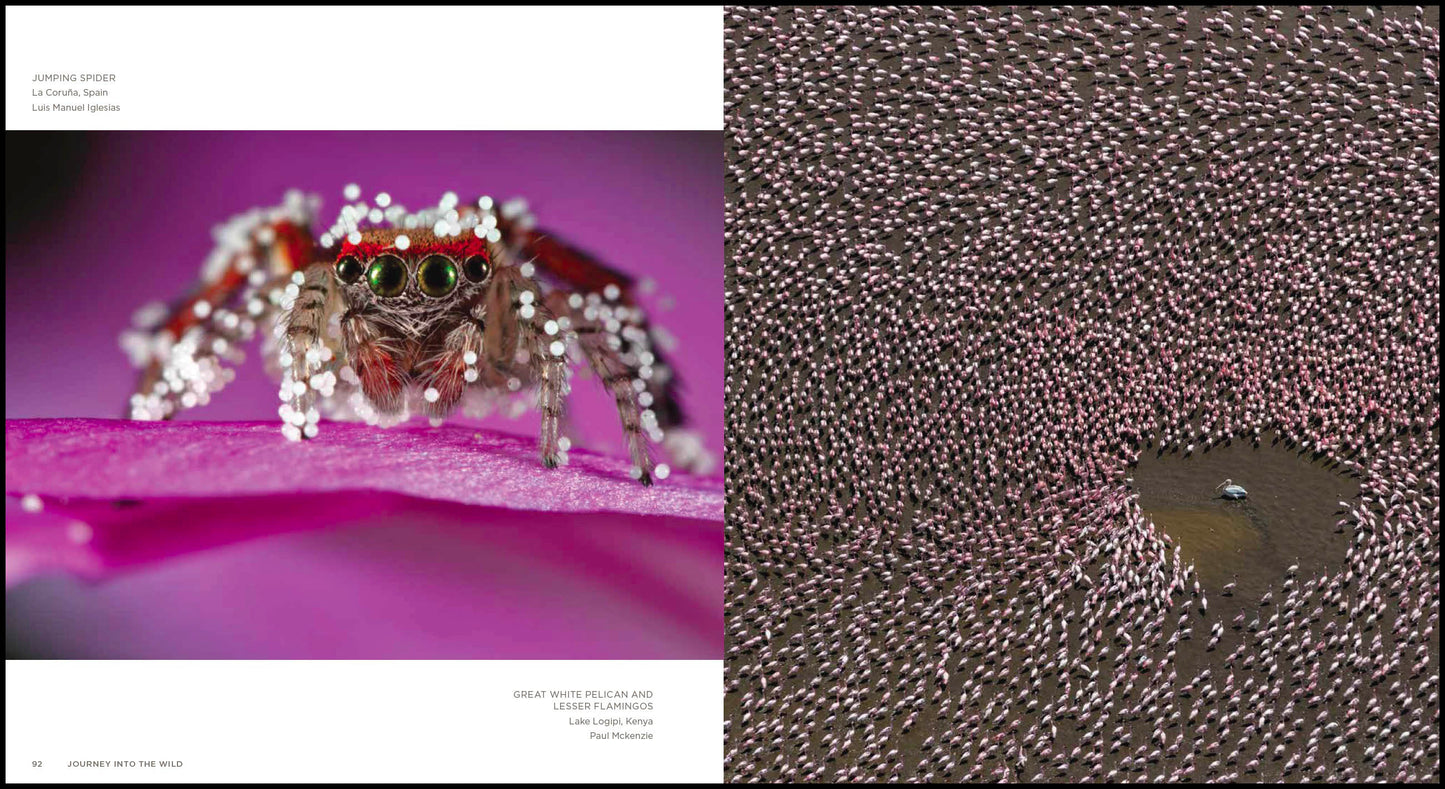 Journey into the Wild: Celebrating Nature's Best Photography