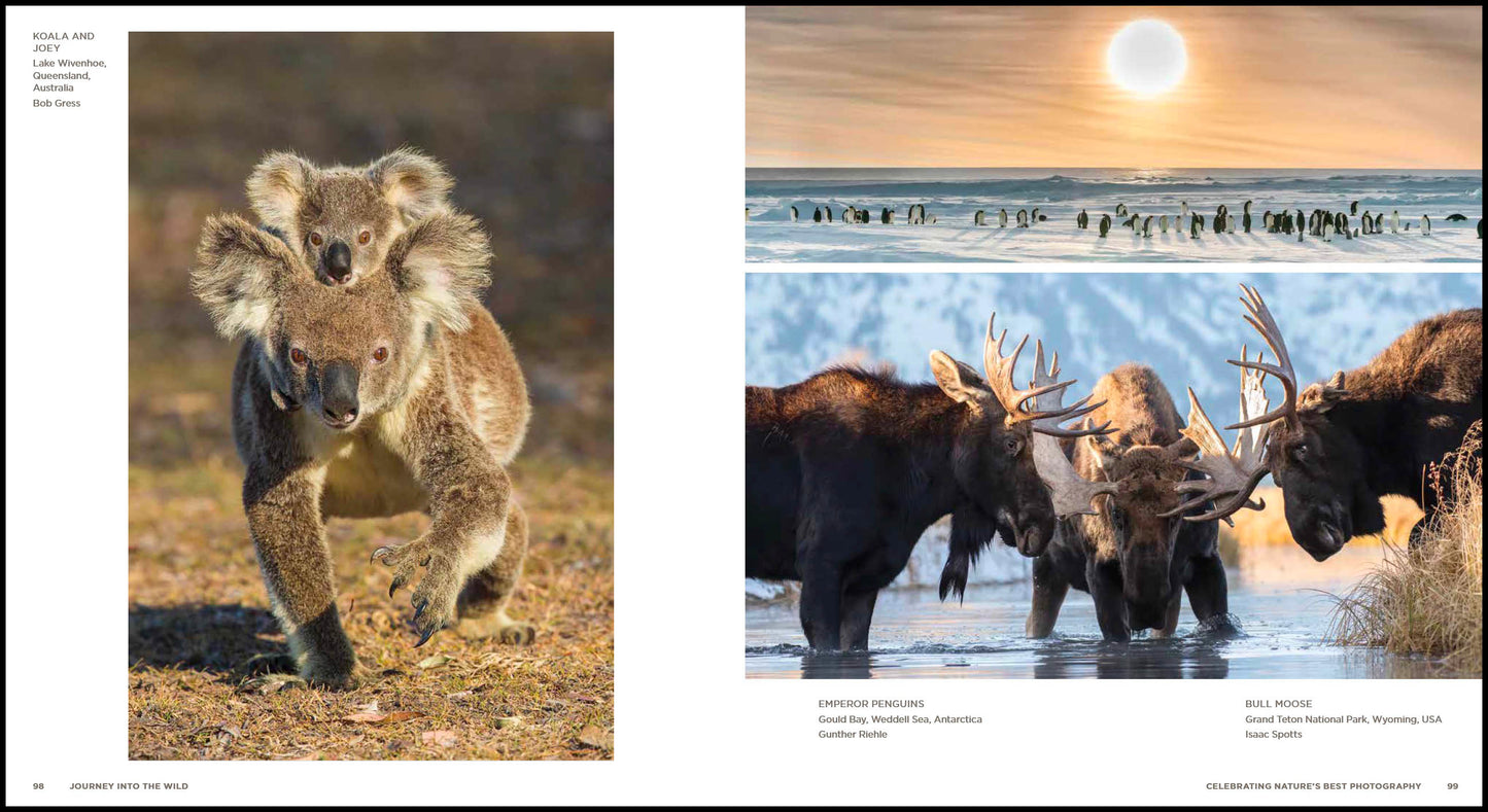 Journey into the Wild: Celebrating Nature's Best Photography