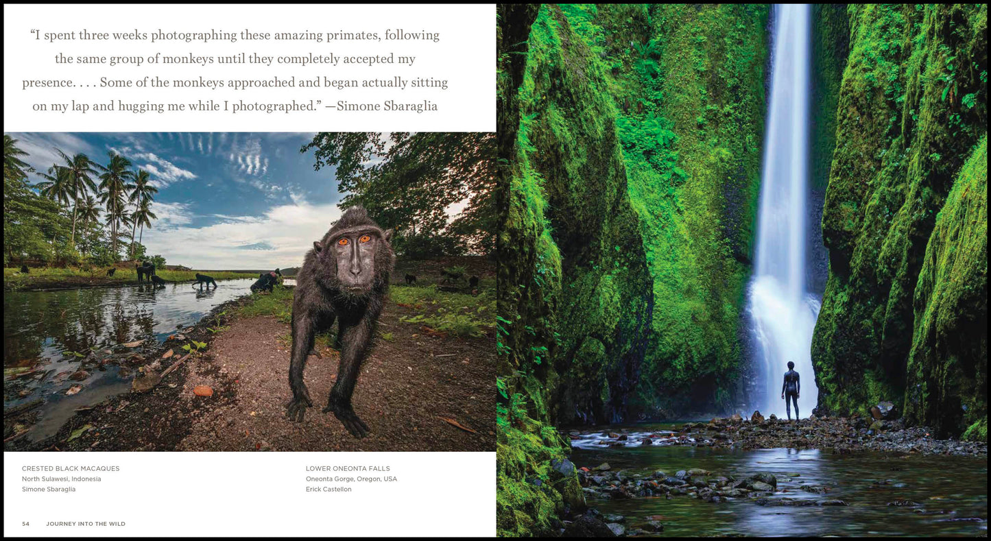 Journey into the Wild: Celebrating Nature's Best Photography