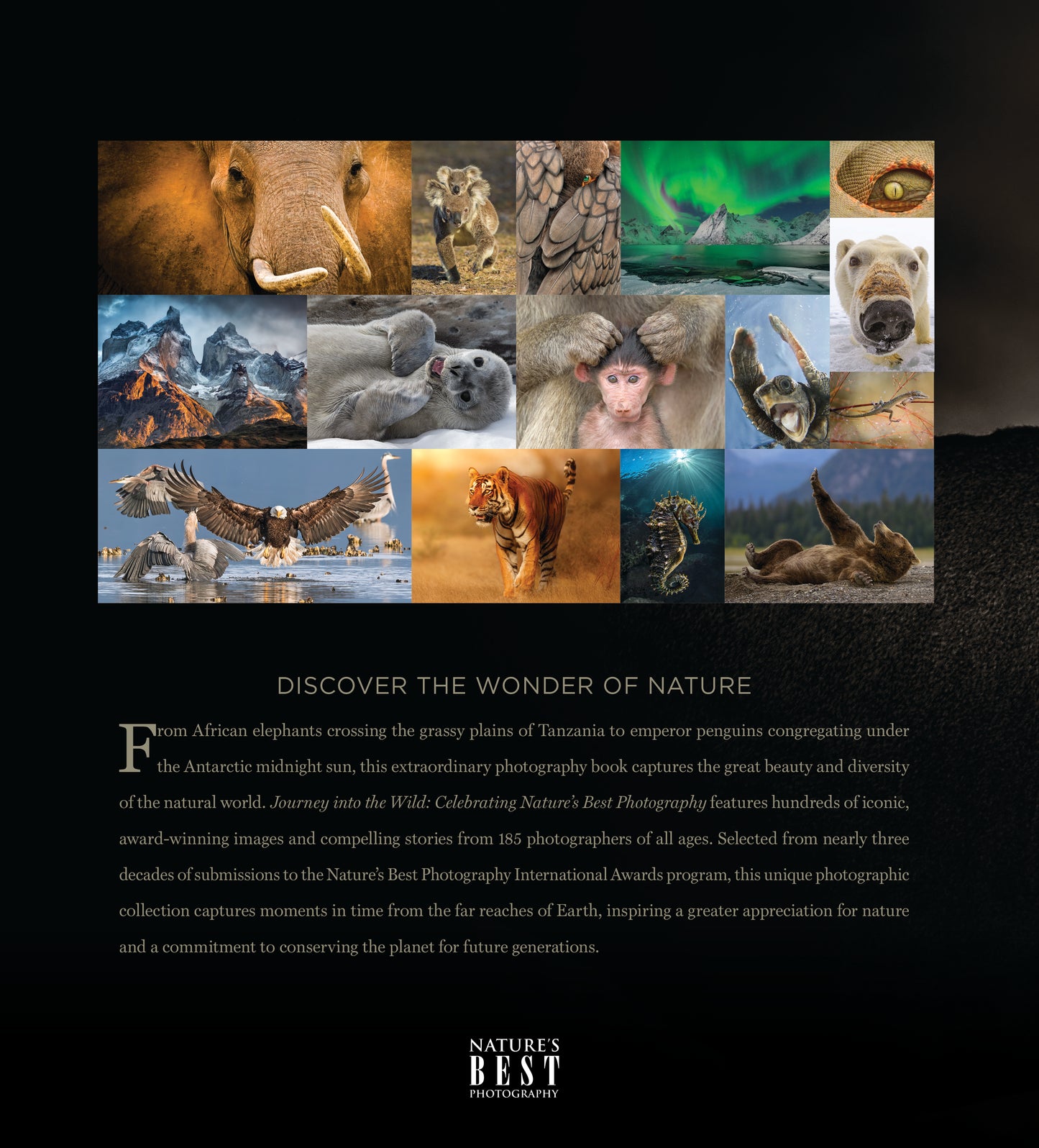 Journey into the Wild: Celebrating Nature's Best Photography